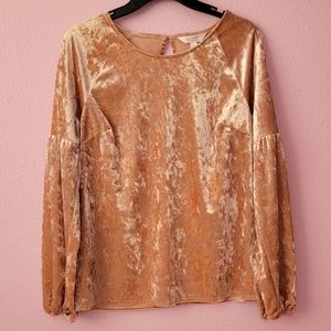 LC Lauren Conrad Blush Pink Velvet Puff Sleeve Top / M.